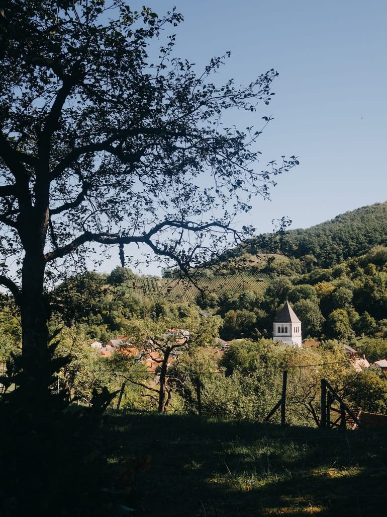 Ausflugstipp: "Love" suchen und finden / Steigerwald